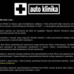 “Auto Klinika” Krzysztof Lurka  polska Firma