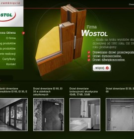 Wostol Sp. z o.o. Construction – Protection safeguarding,  polska Firma