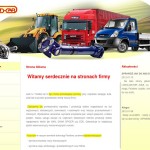 “Tad-Car” Auto-Części Handel i Usługa Zofia Małocha  polska Firma