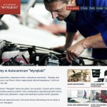 Serwis Motoryzacyjny “Wyrębski” Automotive – Vehicles and Motorcycles,  polska Firma