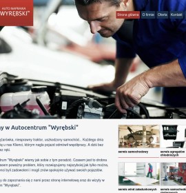 Serwis Motoryzacyjny “Wyrębski” Automotive – Vehicles and Motorcycles,  polska Firma