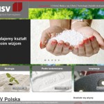 HSV-Polska Sp. z o.o.  polska Firma