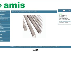 “Amis” Joanna Michałowska-Skorupka  polska Firma