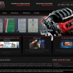 B&B Przemysław Bodych Serwis Samochodowy Bosch Automotive – Car Electronics, Automotive – Vehicles and Motorcycles,  polska Firma