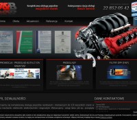 B&B Przemysław Bodych Serwis Samochodowy Bosch Automotive – Car Electronics, Automotive – Vehicles and Motorcycles,  polska Firma