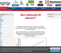 Motrius.pl – Części samochodowe polski sklep internetowy