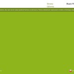 Black Plum – polski producent zabawek